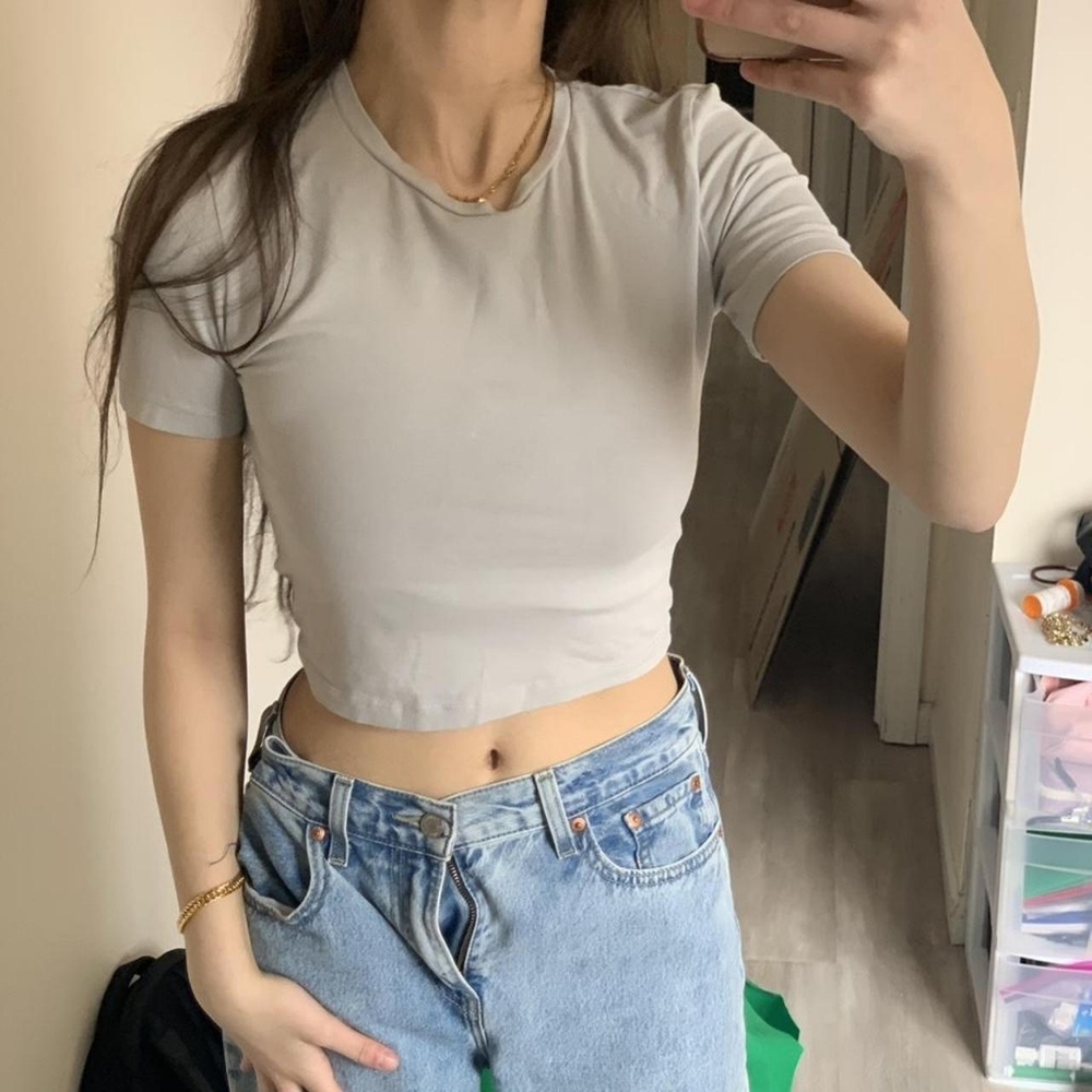Zara Fitted Short Sleeve Crop Top - Light Gray